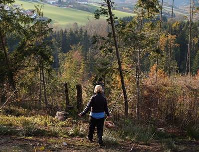 Dachsberg4