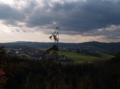 Dachsberg6