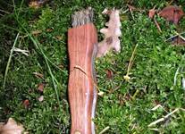 GefalteterNabeling-