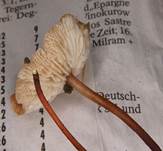 Knoblauch10
