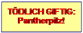 Textfeld: TDLICH GIFTIG: Pantherpilz!
 
