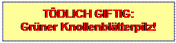 Textfeld: TDLICH GIFTIG:           Grner Knollenbltterpilz!
 
