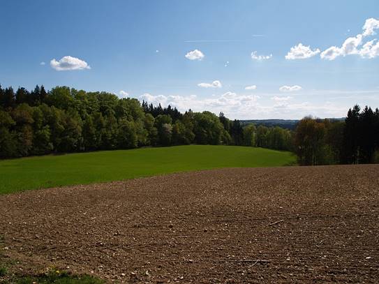 WaldPassau