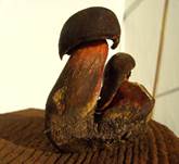 KuriosFlocki-