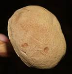 Ziegenlipp